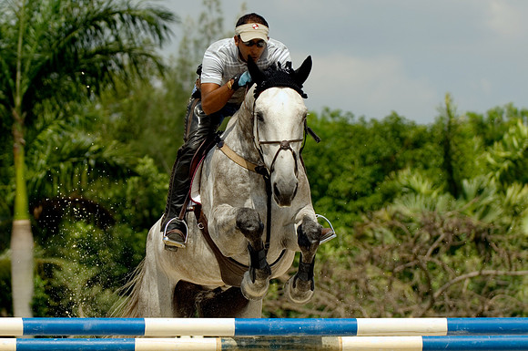 080426_stk_twinhorsefarm_0216.jpg