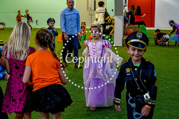 _DSC0052