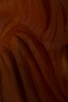 AS_20121129_DSC7468