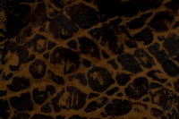 AS_20121129_DSC7470
