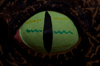 AS_20121129_DSC7475