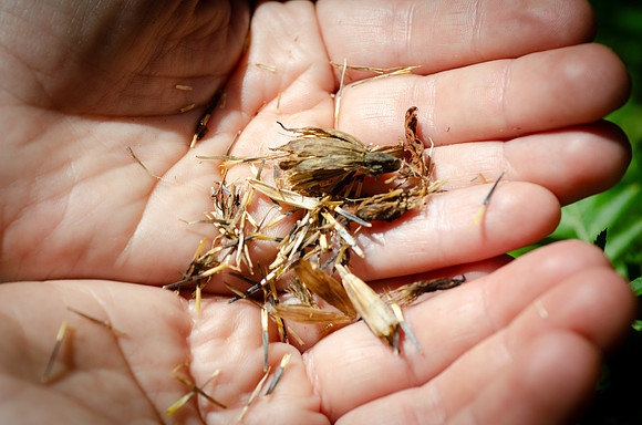 SO1-004