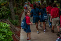 _DSC0095