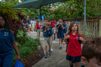 _DSC0096
