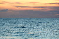 AA_20090910_DSC5936.jpg