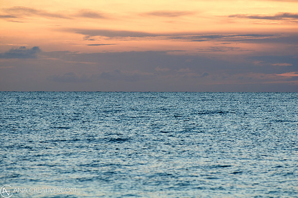 AA_20090910_DSC5936.jpg