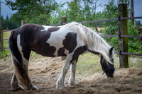 AA-070725-lyna25--8