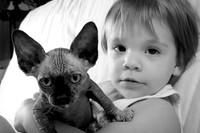_DSC8951