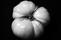 _DSC1254