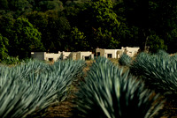 AA-081208-_AIA1264.NEF
