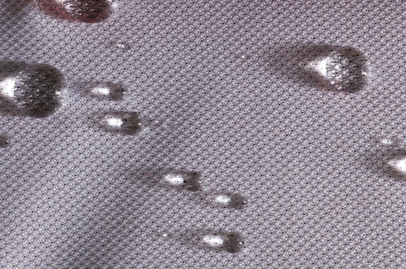 AA_100220_AA04074.jpg