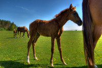 ANA-090509-_AA02030.jpg