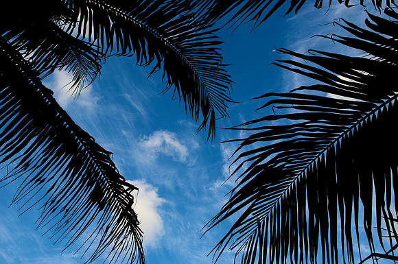 AA_20090501-6906.jpg