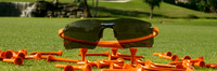 ANA_20071210_ANA6852