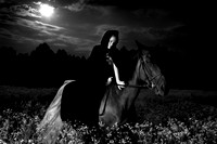 _ANA1071a
