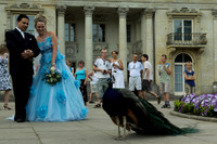 BrienWedding-573