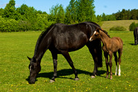 ANA-090509-_AA02020.jpg