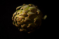 _DSC1266