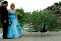 BrienWedding-592
