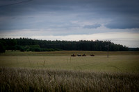 AA-070725-lyna25--21
