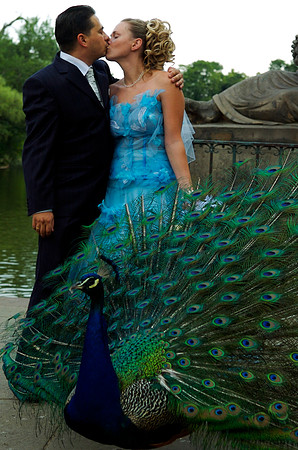 BrienWedding-600