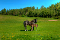 ANA-090509-_AA02133.jpg