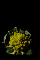 _DSC1284