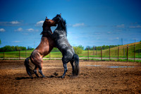 ANA-090509-_DSC6969.jpg
