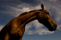 AA-080708-bialogora-4991.jpg