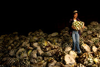 anacreatives-20081209-_AAA0356
