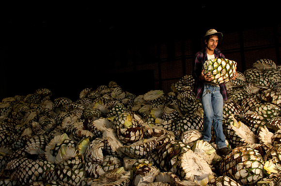 anacreatives-20081209-_AAA0356